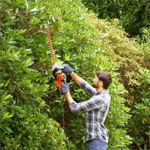black-decker-behts401-power-hedge-trimmer-double-blade-500-w-25625-wlononwcritmj.webp