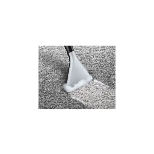 bosch-serie-4-bwd421pet-vacuum-cylinder-vacuum-drywet-2100-w-18880-agdbosodk0088.webp
