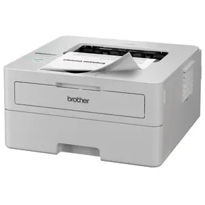 brother-hl-l2865dw-laser-printer-1200-x-1200-dpi-a4-wi-fi-78775-wlononwcrdexh.webp