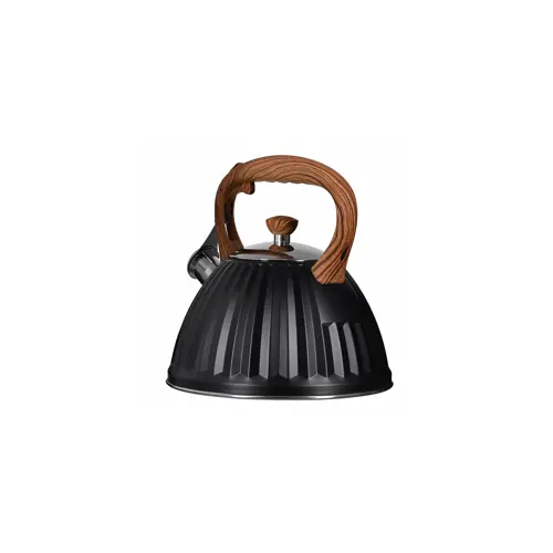 cajnik-promis-tmc25d-30-l-antonio-drvena-rucka-crna-35420-agdpmsczn0031.webp