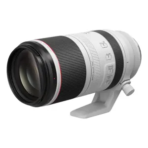 canon-rf-100-500mm-f45-71l-is-usm-lens-99910-wlononwcrolc5.webp