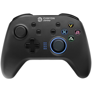 CANYON GP-W3 2.4G Wireless Controller with built-in 600mah battery, 1M Type-C charging cable ,6 axis motion sensor support nintendo switch ,android,PC X-input/D-input,ps3,normal size dongle,crna