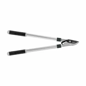 C.BASIC STRAIGHT SCISSOR PRUNING SHEARS