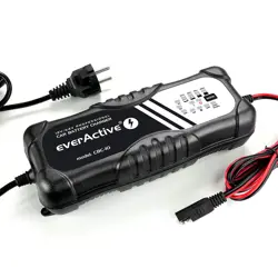 charger-charger-everactive-cbc10-12v24v-81861-wlononwcrayr5.webp