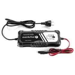 charger-charger-everactive-cbc10-12v24v-84094-wlononwcrayr5.webp