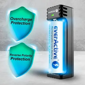 charger-for-cylindrical-li-ion-batteries-everactive-lc-100-2081-baleavlad0014.webp