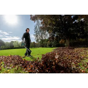 cordless-leaf-blower-lb-18-ltx-bl-601607850-metabo-31971-wlononwcrecjs.webp