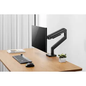 digitus-single-monitor-mount-49-20-kg-15464-wlononwcrozxj.webp