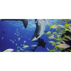 dodatna-oprema-za-kameru-gopro-hero-11-black-mini-protective-50272-afdiv-001_456566.jpg