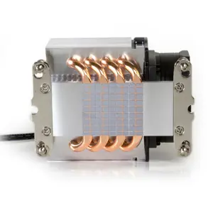 dynatron-a24-computer-cooling-system-processor-cooler-6-cm-b-2096-wlononwcrtak7.webp