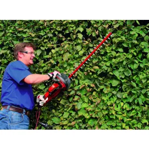 einhell-ge-eh-7067-double-blade-700-w-373-kg-25585-wlononwcritoz.webp