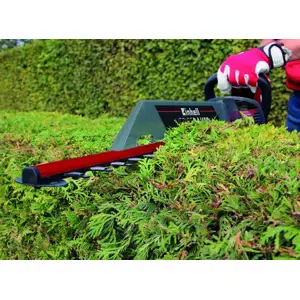 einhell-ge-eh-7067-double-blade-700-w-373-kg-27004-wlononwcritoz.webp