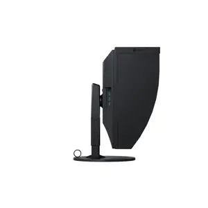 eizo-coloredge-cg319x-led-display-79-cm-311-4096-x-2160-pixe-52795-wlononwcrnpnu.webp