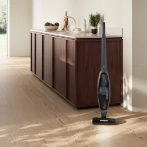 electrolux-es52cb21db-stick-vacuum-battery-dry-cyclonic-foam-59548-agdelcodk0285.webp