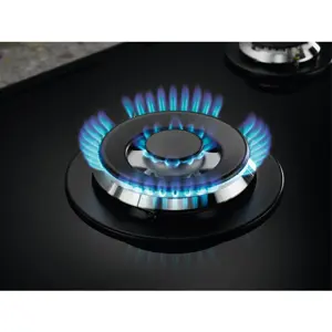 electrolux-kgg75362k-black-built-in-74-cm-gas-5-zones-73048-agdelcpgz0193.webp