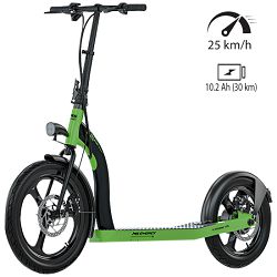 Električni romobil MS ENERGY R10 Black Green (20"+ 16", 120kg, nazivna snaga 350W, domet do 25-30km, 25 km/h) 
