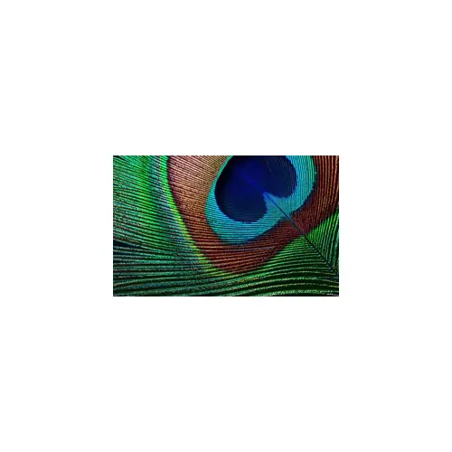 epson-projector-eh-tw7000-lcd-3000ansi-4k-400001-19303-wlononwcrak33.webp