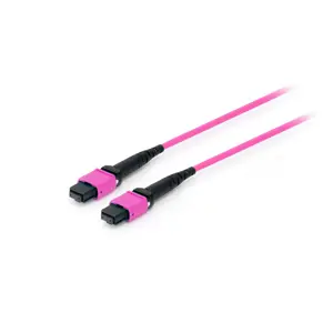 Equip 25555317 InfiniBand/fibre optic cable 3 m MTP Violet