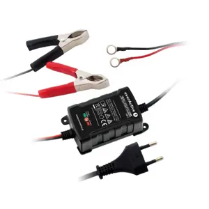 Everactive CBC-1 vehicle battery charger 6-12 V Black