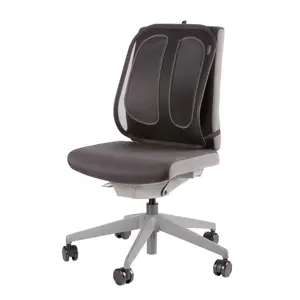 fellowes-back-support-for-office-chair-office-suites-mesh-ba-30062-wlononwcrantx.webp