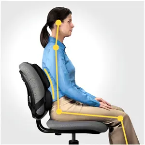 fellowes-back-support-for-office-chair-professional-series-u-14828-wlononwcrants.webp