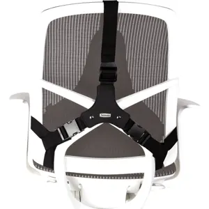 fellowes-back-support-for-office-chair-professional-series-u-7131-wlononwcrants.webp