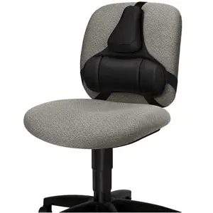 fellowes-back-support-for-office-chair-professional-series-u-81341-wlononwcrants.webp