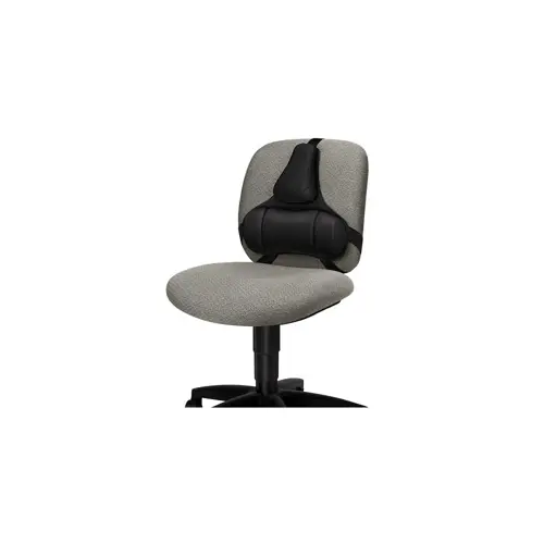 Fellowes Ergonomics professional back support pillow
