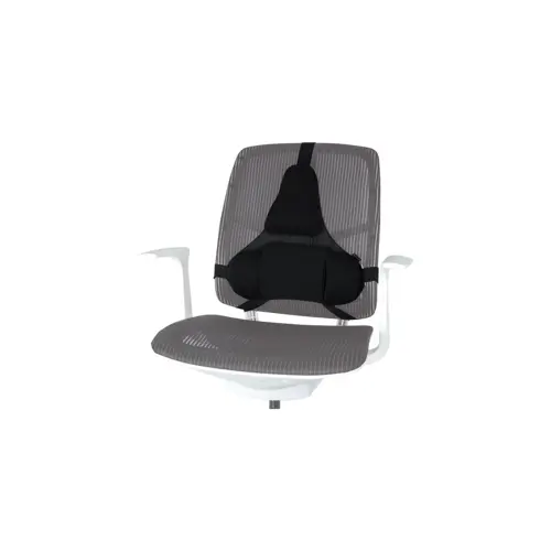 Fellowes Ergonomics professional back support pillow