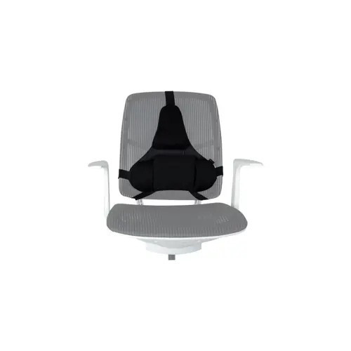 fellowes-ergonomics-professional-back-support-pillow-83249-aeufelple0003.webp