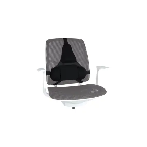 fellowes-ergonomics-professional-back-support-pillow-84387-aeufelple0003.webp