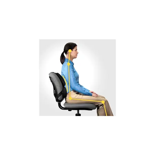 fellowes-ergonomics-professional-back-support-pillow-86746-aeufelple0003.webp