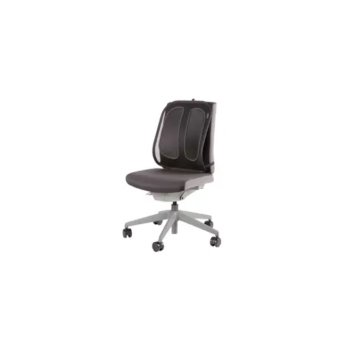 fellowes-office-suites-mesh-back-support-57785-wlononwcrantx.webp