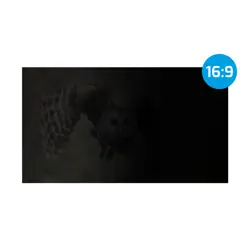 filter-za-privatnost-zaslona-natec-nfp-1616-bez-okvira-338-c-70846-wlononwcrdgky.webp