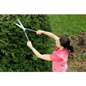 fiskars-hedge-trimmer-hs52-60279-wlononwcrbpcy.webp