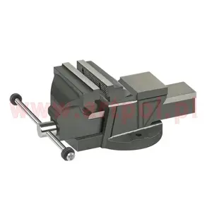 Fixed cast iron vise 125mm/AR