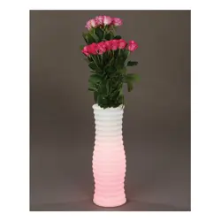 flower-vase-with-rgb-led-backlight-and-remote-control-69217-wlononwcrfmpd.webp