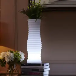 flower-vase-with-rgb-led-backlight-and-remote-control-94659-wlononwcrfmpd.webp