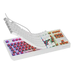 gaming-keyboard-genesis-thor-230-tkl-us-rgb-mechanical-outem-4317-wlononwcrmwx6.webp
