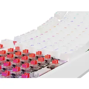 gaming-keyboard-genesis-thor-230-tkl-us-rgb-mechanical-outem-6028-wlononwcrmwx6.webp