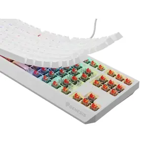 gaming-keyboard-genesis-thor-230-tkl-us-rgb-mechanical-outem-7299-wlononwcrmwx6.webp