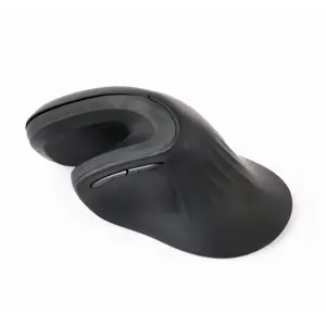 gembird-musw-ergo-03-mouse-home-right-hand-rf-wireless-optic-52380-wlononwcrggnk.webp