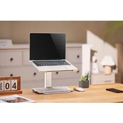 gembird-nbs-d1-02-laptop-stand-silver-396-cm-156-62367-wlononwcrgiip.webp