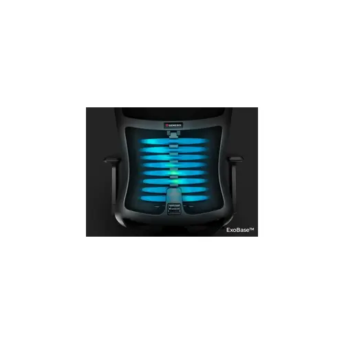 genesis-ergonomic-chair-astat-200-black-41924-wlononwcrarma.webp
