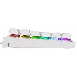 genesis-thor-303-gaming-keyboard-rgb-led-light-us-white-wire-64419-wlononwcrarxi_812575.jpg