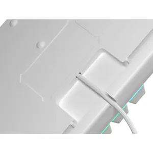 genesis-thor-303-tkl-rgb-biala-74651-wlononwcrcgdj.webp