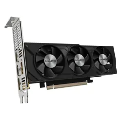 gigabyte-geforce-rtx-4060-oc-low-profile-8g-nvidia-geforce-r-86469-wlononwcramcf.webp