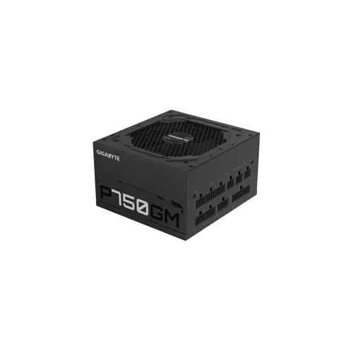 gigabyte-gp-p750gm-750-w-1224-wlononwcrajpe.webp