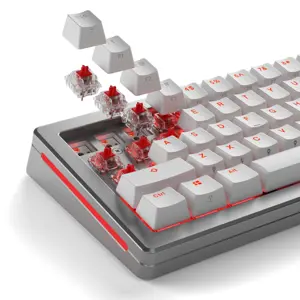 glorious-fox-switches-lubed-110-pieces-1137-wlononwcrecyo.webp