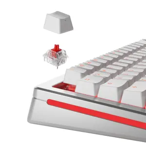 glorious-fox-switches-lubed-110-pieces-337-wlononwcrecyo.webp